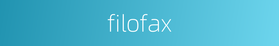 filofax的同义词