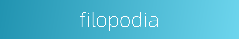 filopodia的同义词