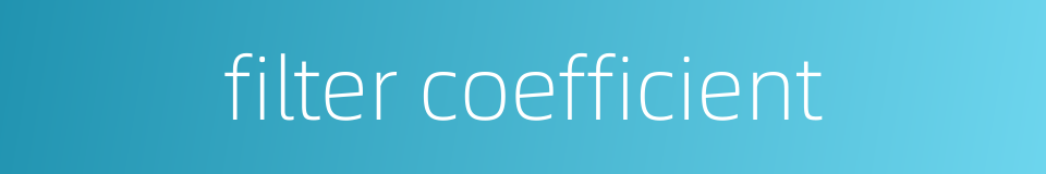 filter coefficient的同义词