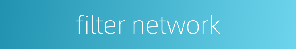 filter network的同义词