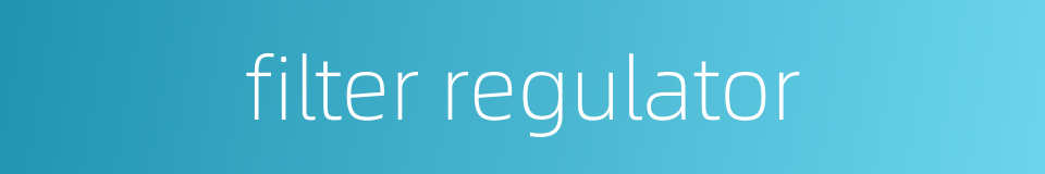 filter regulator的同义词