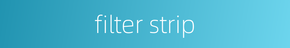 filter strip的同义词