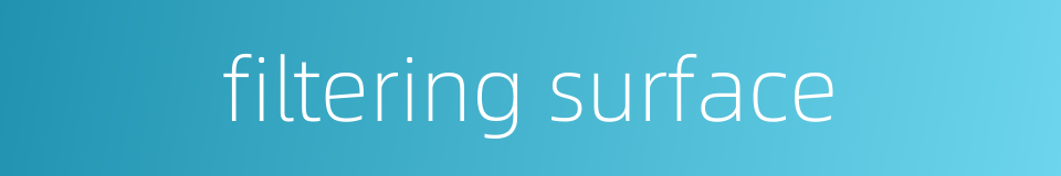 filtering surface的同义词