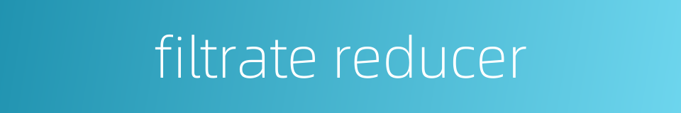 filtrate reducer的同义词