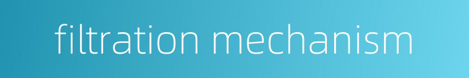 filtration mechanism的同义词
