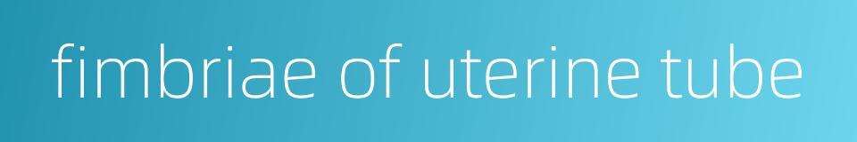 fimbriae of uterine tube的同义词