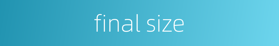 final size的同义词