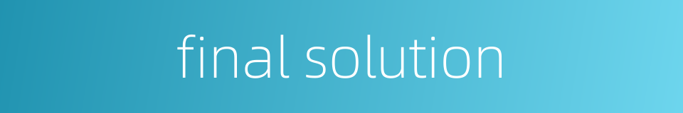 final solution的同义词