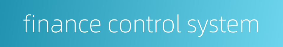 finance control system的同义词