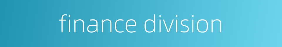 finance division的同义词