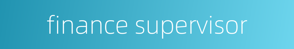 finance supervisor的同义词