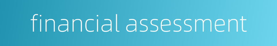 financial assessment的同义词