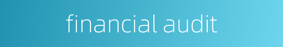 financial audit的同义词
