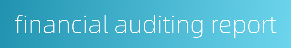 financial auditing report的同义词