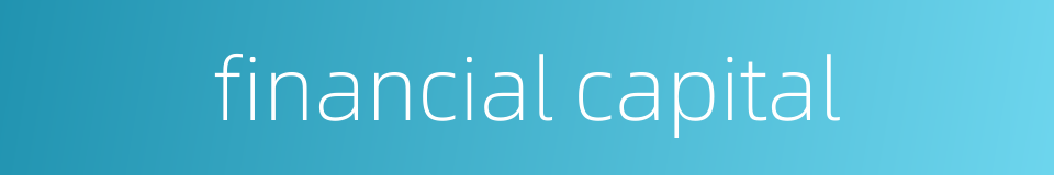 financial capital的同义词