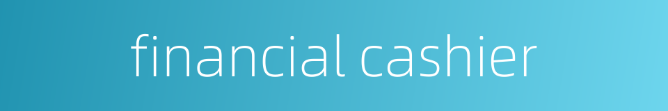 financial cashier的同义词