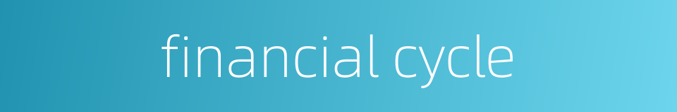 financial cycle的同义词
