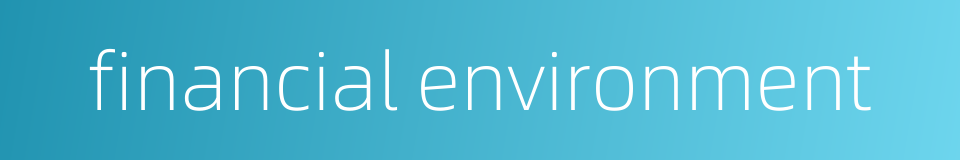 financial environment的同义词