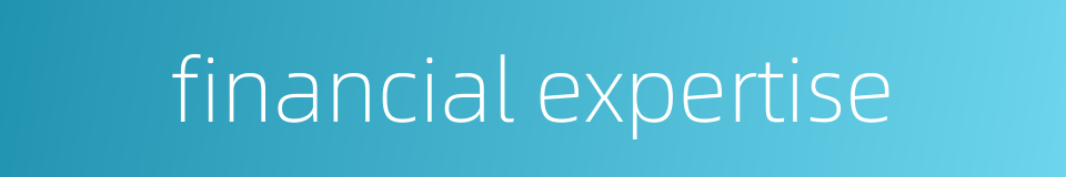 financial expertise的同义词