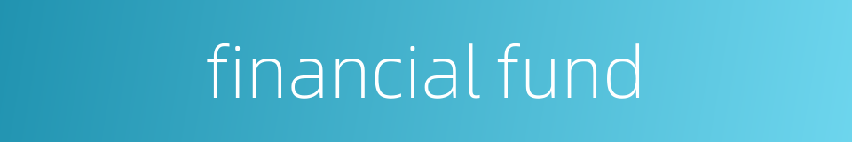 financial fund的同义词