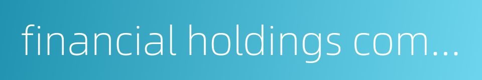 financial holdings company的同义词