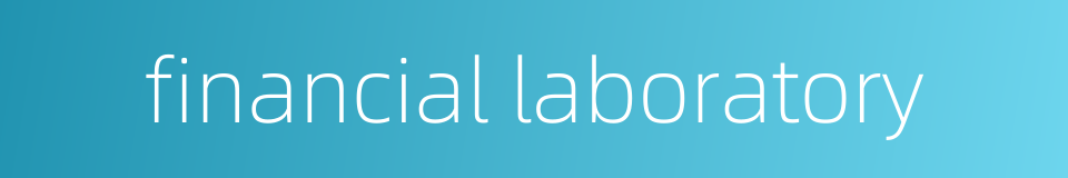 financial laboratory的同义词