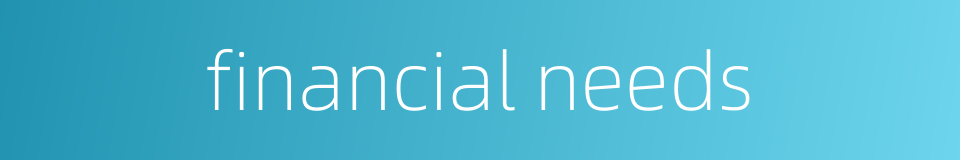 financial needs的同义词