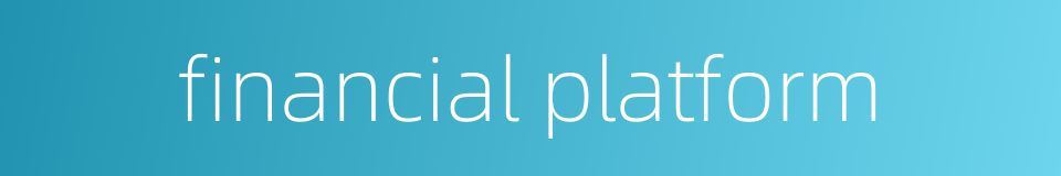 financial platform的同义词