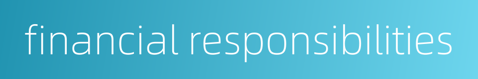 financial responsibilities的同义词