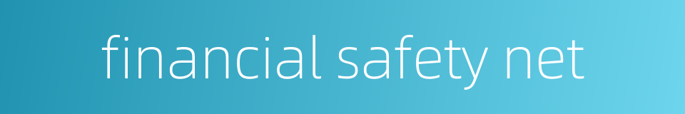 financial safety net的同义词