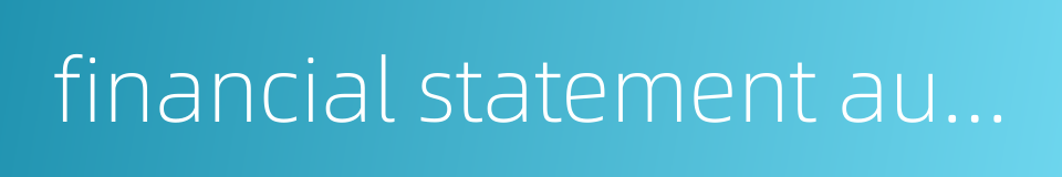 financial statement audit的同义词