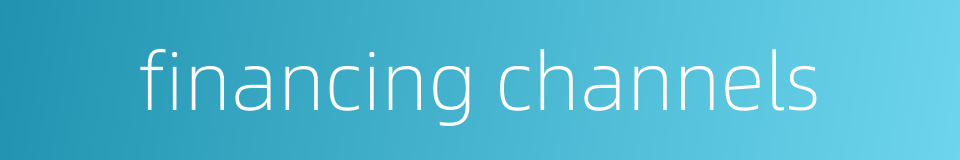 financing channels的同义词
