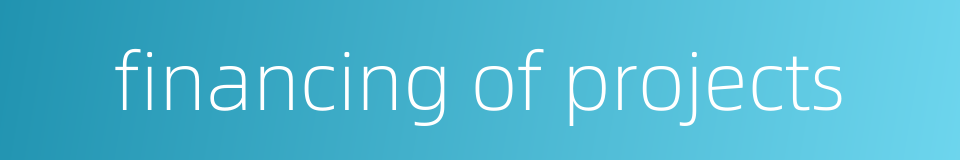 financing of projects的同义词