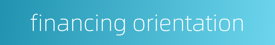 financing orientation的同义词