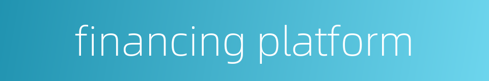financing platform的同义词
