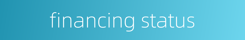 financing status的同义词