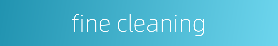 fine cleaning的同义词