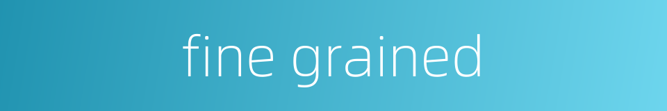 fine grained的同义词