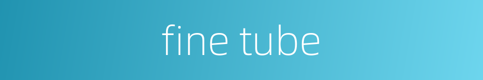 fine tube的同义词