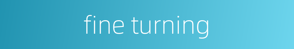 fine turning的同义词