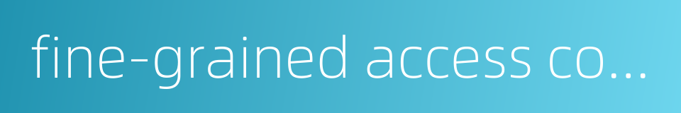 fine-grained access control的同义词