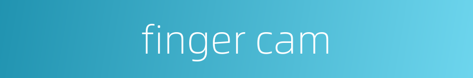 finger cam的同义词