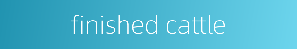 finished cattle的同义词