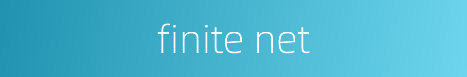 finite net的同义词