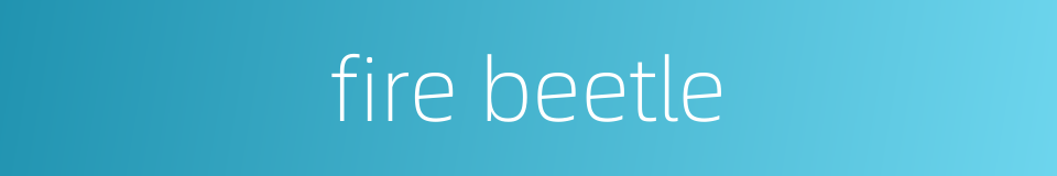 fire beetle的同义词