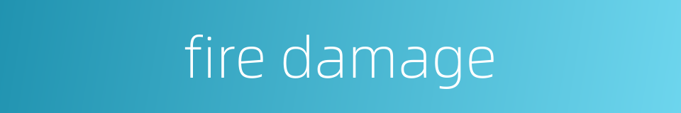 fire damage的同义词