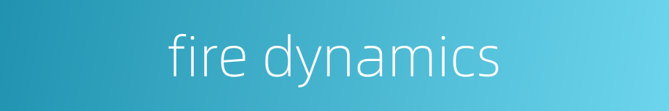 fire dynamics的同义词