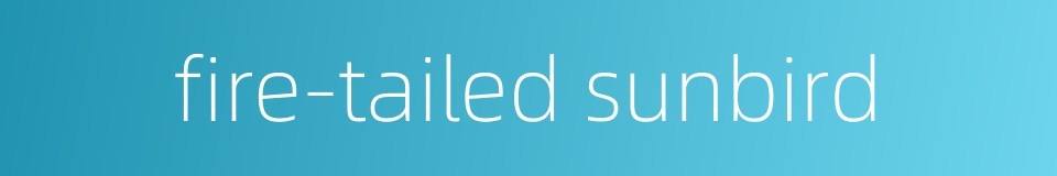 fire-tailed sunbird的同义词