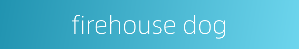 firehouse dog的同义词