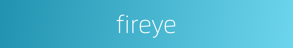 fireye的同义词